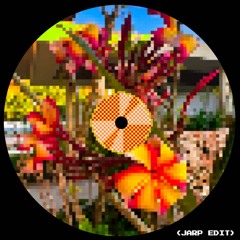 Ciega, Sordomuda x Take My Chance (JARP Edit) - Shakira, MK [FILTERED]