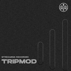 Bridge Streaming Recorded - TripMod