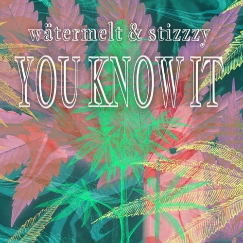 YOU KNOW IT w/ wätermelt