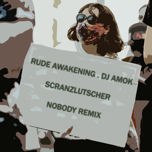Rude Awakening Vs DJ Amok - Schranzlutscher (Nobody Remix)