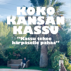 Kassu tekee kärpäselle pahaa