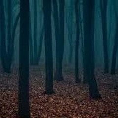 Amdusias Tales - Mix (2008 -2011) - Pre Automata Theory