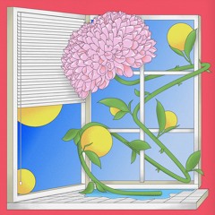 PALMS044 // Maroki - Bloem EP