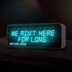 NATHAN DAWE - We Ain't Here For Long (Frank Zozky Remix)