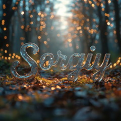 Dance Of The Sugar Plum Fairy (Sorgiy remake)