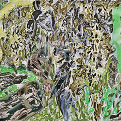 The Mystery Of The Hidden Kingdom