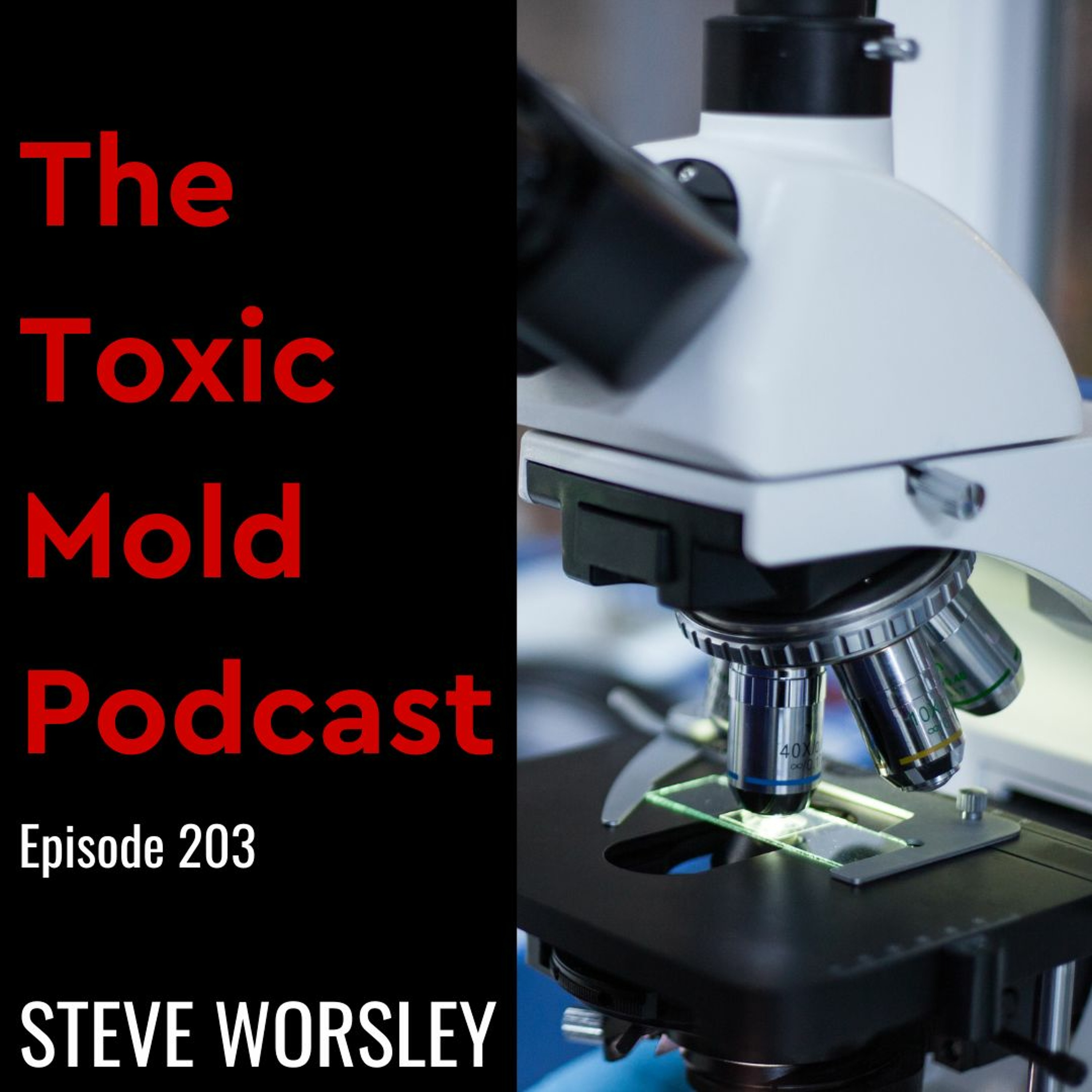 The Toxic Mold Podcast