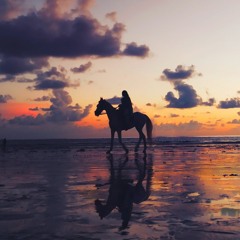 Ambient Relax
