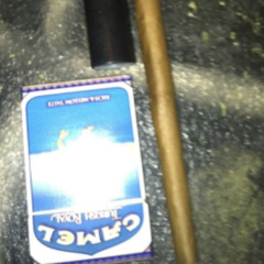 SniZhit Feat Lil Trav0