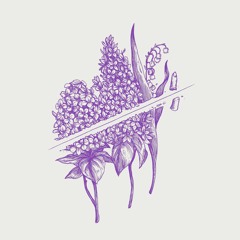 Ogni paura, ogni certezza