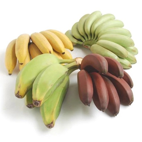 packofbananas