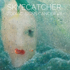 Zodiac Signs Cancer Volume 8