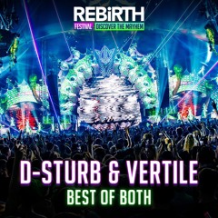 D-Sturb & Vertile - Best of Both @ REBiRTH Festival 2024 - Discover The Mayhem