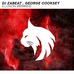 Illusion (DJ Zhuk Remix)
