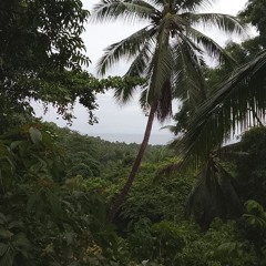 Moon light after the rain.mp3