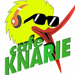 Knarie In Space