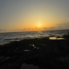 lumaco #03