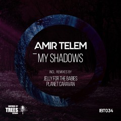 Amir Telem - My Shadows (IBT034)