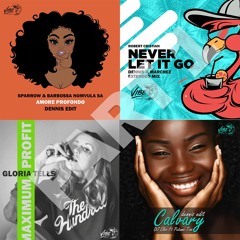 Vooz Brothers Feat. Nikol Apatini - Why 4 To The Floor (Dennis Bootleg)