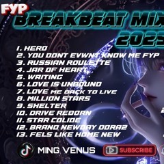 MIX PRIVAT VIP N_A BREAKBEAT FYP 2 HOUR MING VS