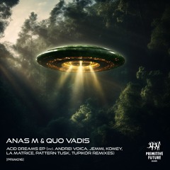 Anas M, Quo Vadis - Acid Dreams (La Matrice Reinterpretation)[PRIM016]