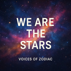 We Are The Stars