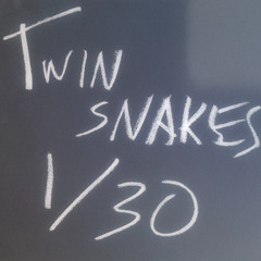 Twin Snakes