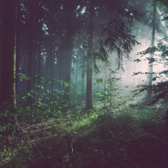 A FOREST (DANCE FOREVER CLUB MIX2)