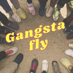 Shaun Flynn - Gangsta Fly