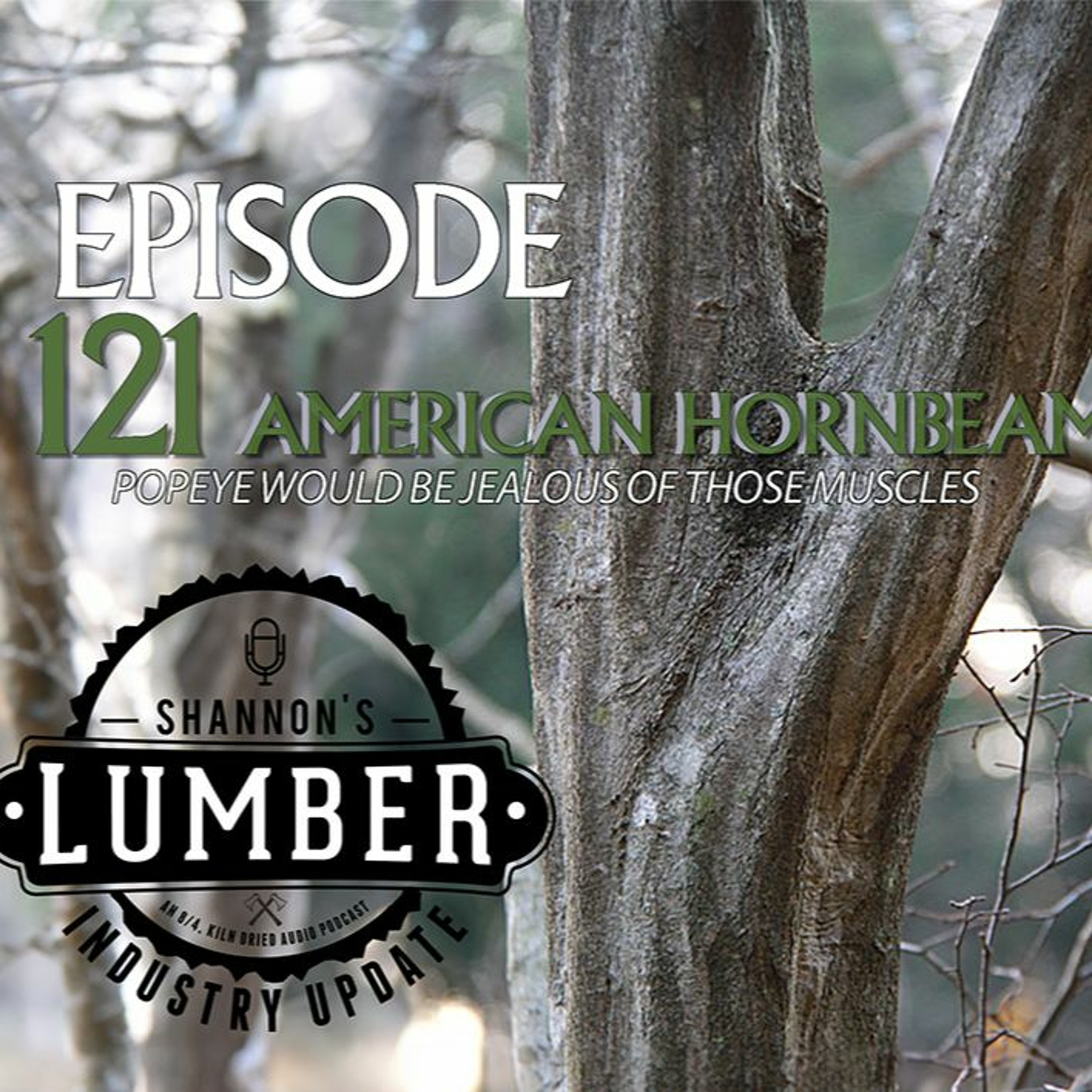 121 - American Hornbeam