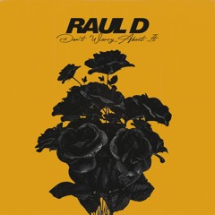 Raul D - Don't Worry About It