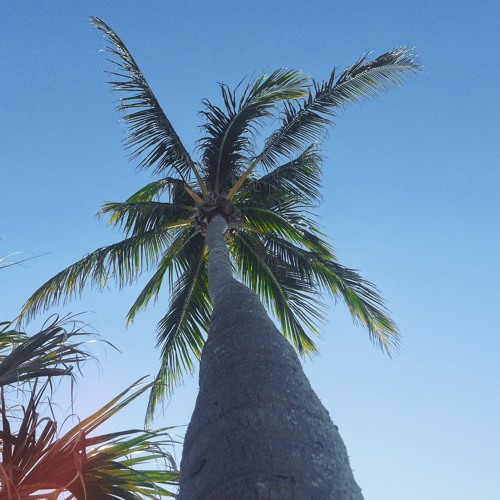 Sunny House Mix