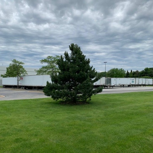 deforestation instrumental