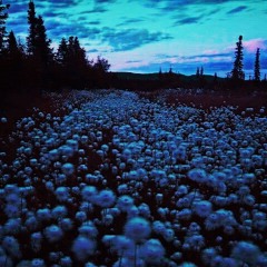 Complete Incompleteness