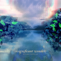 The Reveal [from Insignificant Wonders]