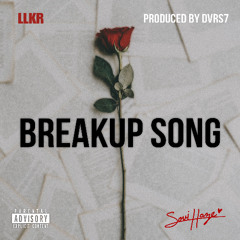 Breakup Song