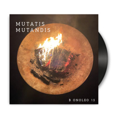 Mutatis Mutandis / B2 Onoleo