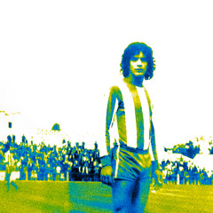 ArArAquArA (São Paulo - Yuri NR5 flip)