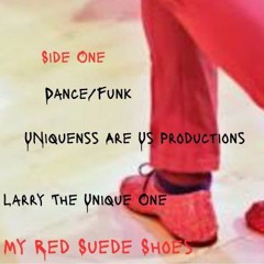1. My Red Saude Shoes