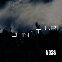 Turn it UP (Radio Mix)