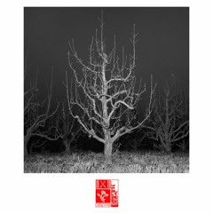 CONTACTO - BAJO LAS HOJAS LA SANGRE SIGUE FLUYENDO