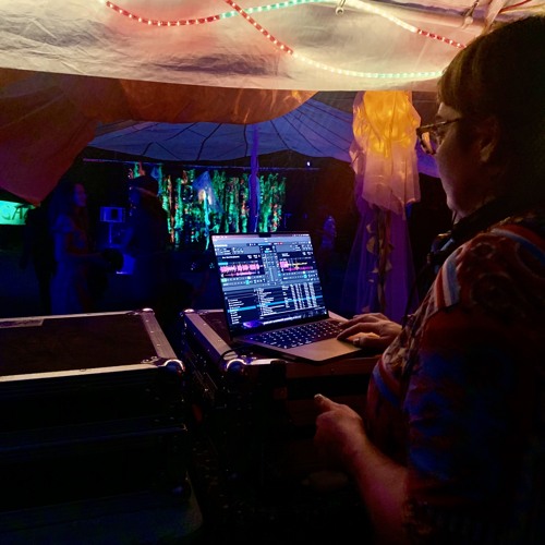 DJ Drop a Cat on the Equipment - AMF 27 - 3rdkltr Soundsystem