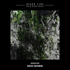 David Vachnun - Kosher Acid