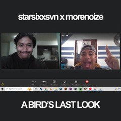 STARSIXXSVN X MORENOIZE - A BIRDS LAST LOOK *WIP*