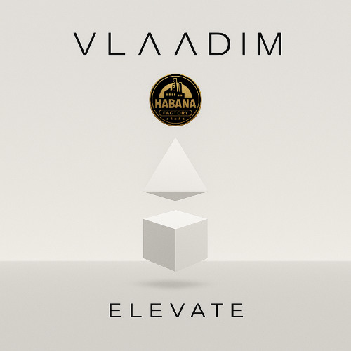 VLAADIM - Elevate (Extended Mix) (FREE DWLD)