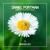 Artwork for Daniel Portman - Parasol (Yvvan Back Remix Edit)