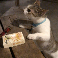 Đau thêm lần nữa (Medy ft. Kinzy, Điếu).wav