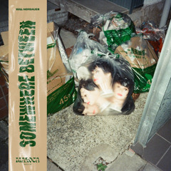 Will Hofbauer - Somewhere Between the Shovel and the Egg