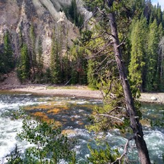 Light Metal/nebežinau kaip tai pavadinti/Part(y) 4.20