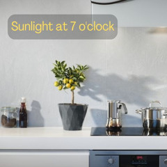 Sunlght_at_7_oclock